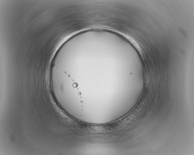 X0000115820911200912041625