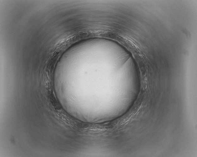 X0000115820917200912041624