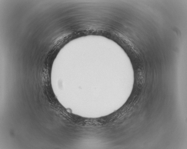 X0000115820918200912041624