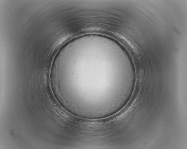 X0000115820921200912041624