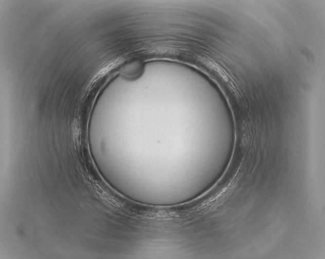 X0000115820922200912041624