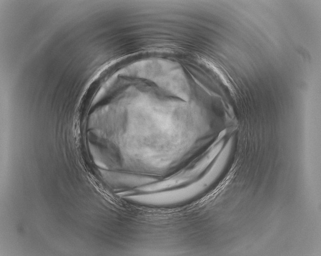 X0000115820923200912041624