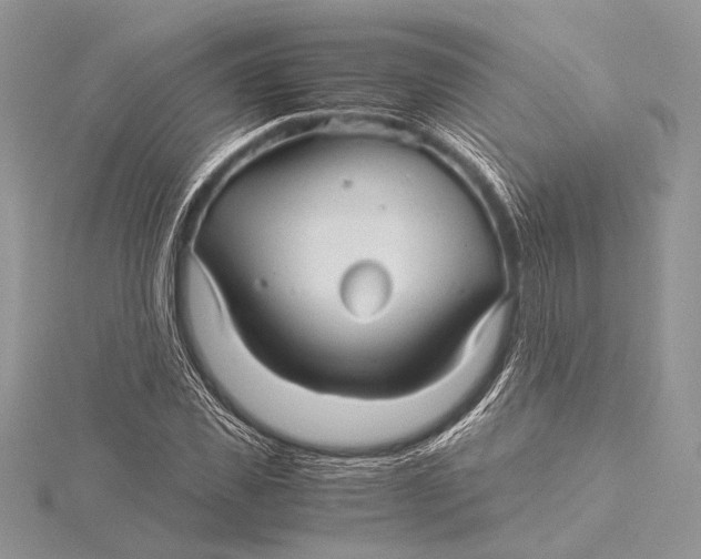 X0000115820925200912041624