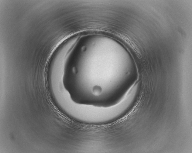 X0000115820926200912041624