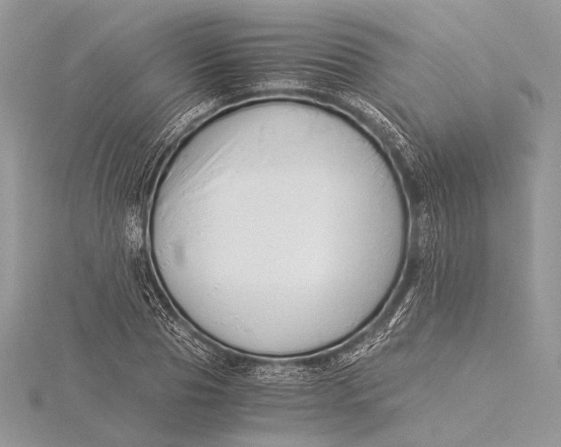 X0000115820929200912041624