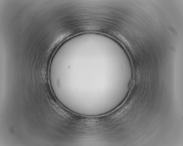 X0000115820930200912041624