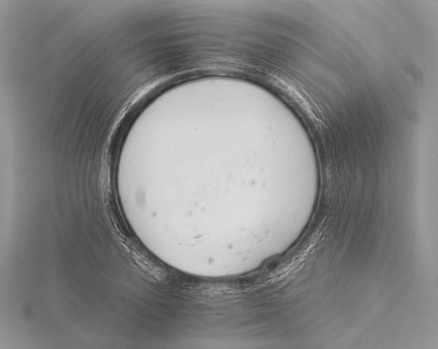 X0000115820931200912041624