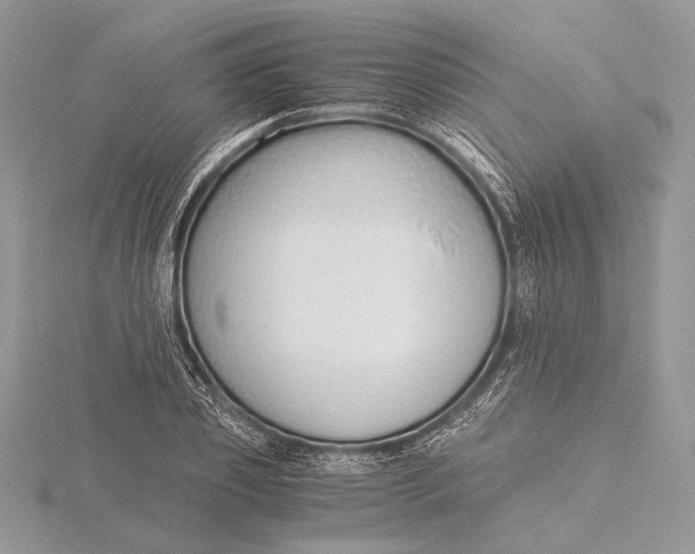 X0000115820933200912041624