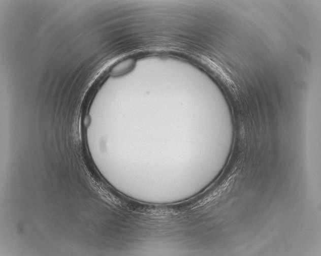 X0000115820934200912041624