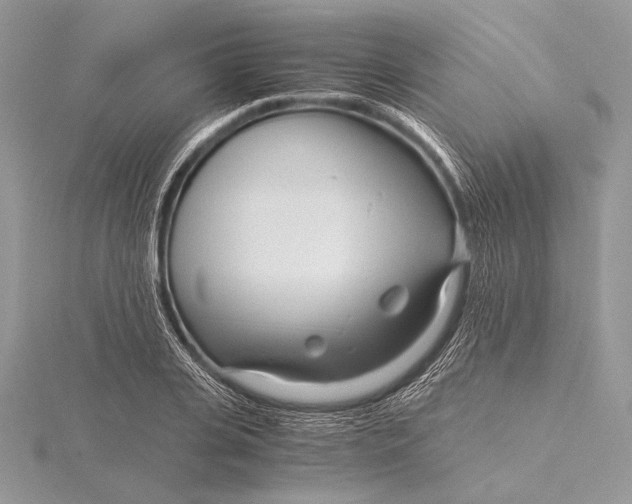 X0000115820935200912041624