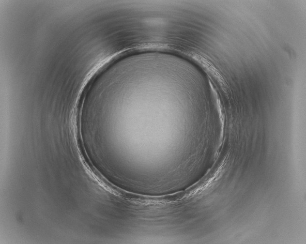 X0000115820941200912041624