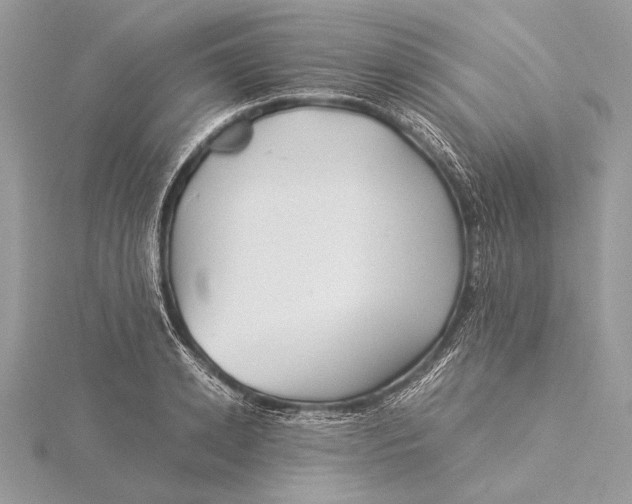 X0000115820942200912041625