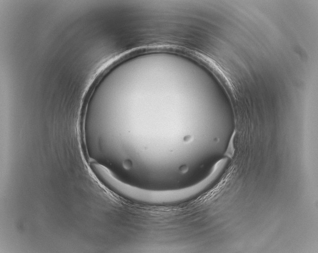 X0000115820943200912041625