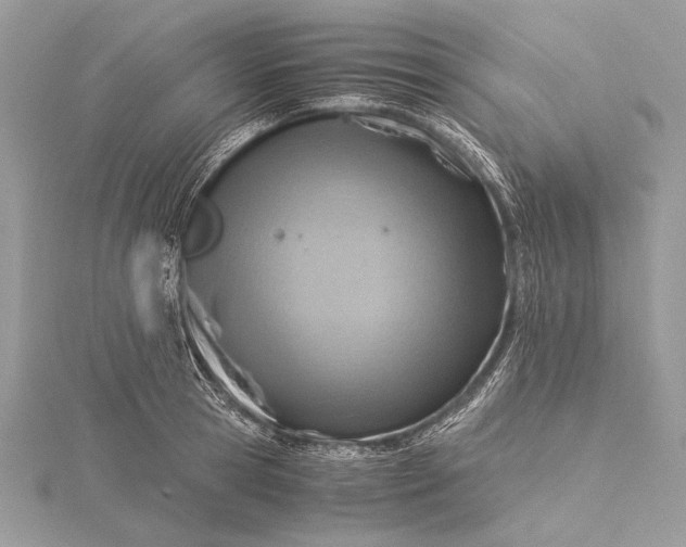 X0000115820945200912041625