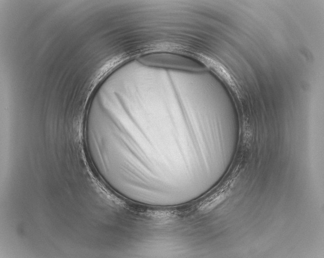 X0000115820946200912041625