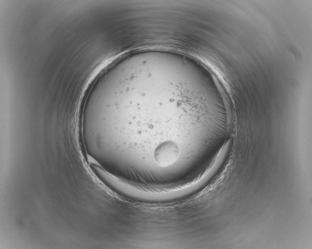 X0000115820949200912041625