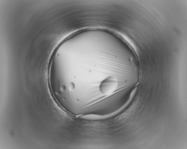 X0000115820951200912041625