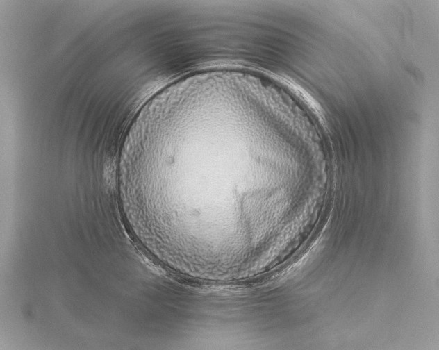 X0000115820953200912041625