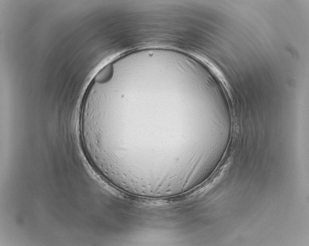 X0000115820957200912041625