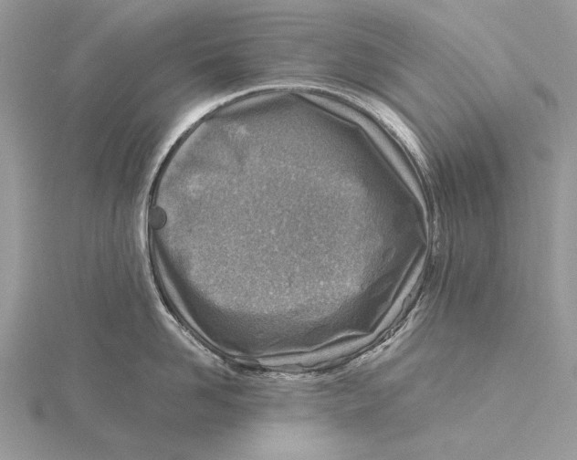 X0000115820958200912041625