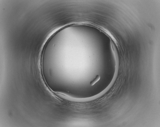 X0000115820959200912041625