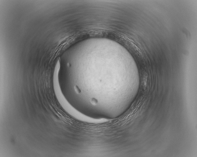 X0000115820964200912041624