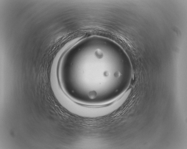 X0000115820965200912041624