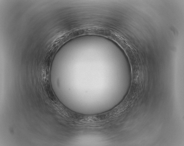 X0000115820966200912041624