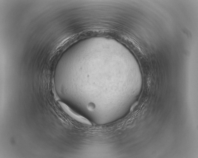 X0000115820968200912041624