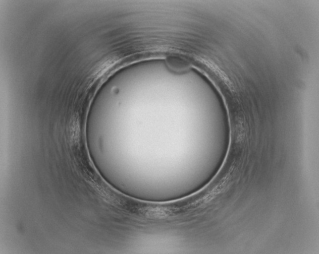 X0000115820969200912041624