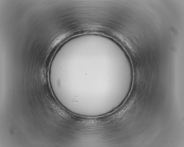 X0000115820970200912041624