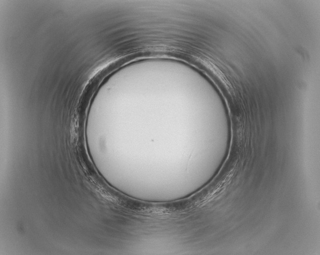 X0000115820971200912041624