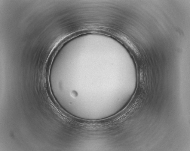 X0000115820972200912041624