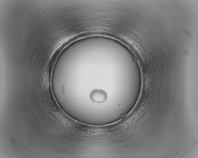 X0000115820973200912041624