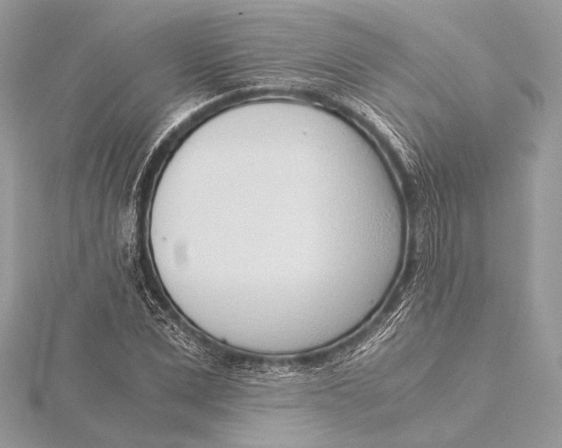 X0000115820975200912041624