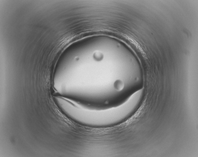 X0000115820977200912041624