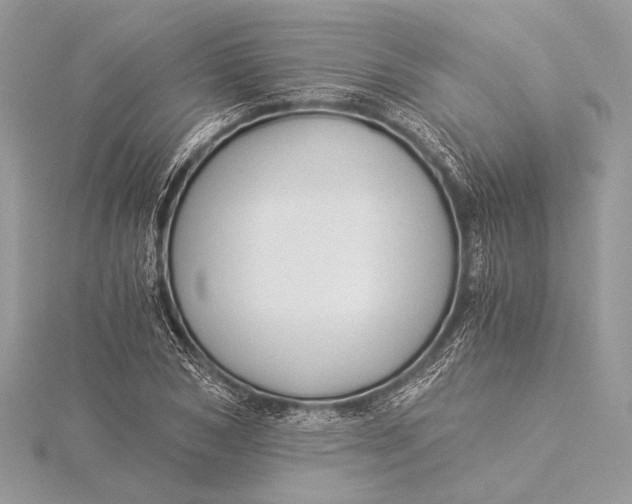 X0000115820978200912041624