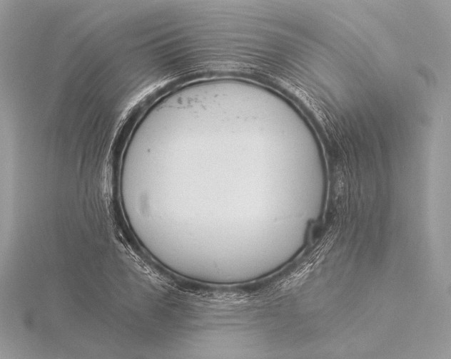 X0000115820979200912041624