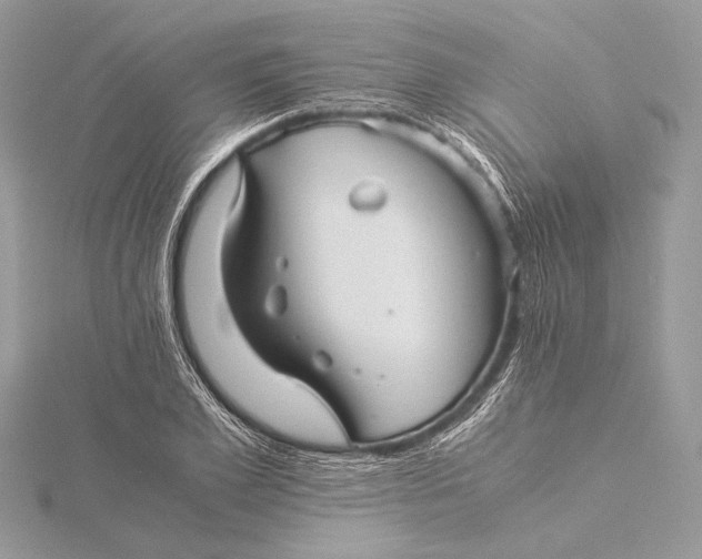 X0000115820981200912041624