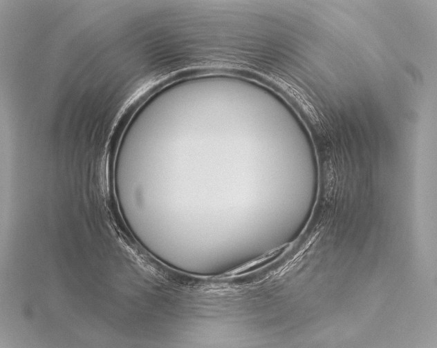 X0000115820982200912041624