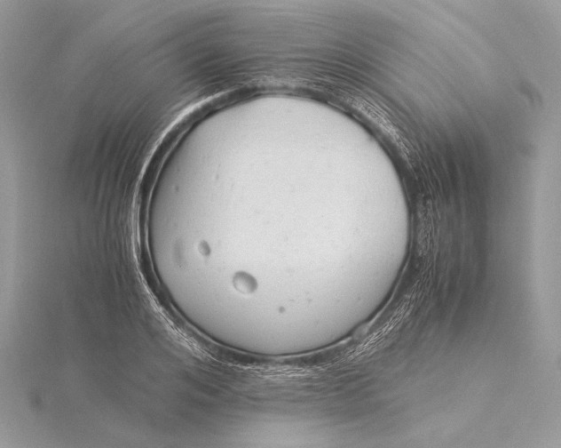 X0000115820984200912041624