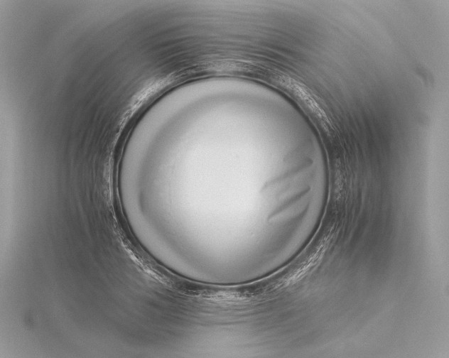 X0000115820986200912041624