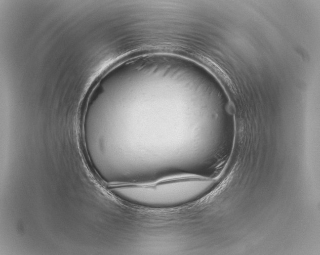 X0000115820989200912041624