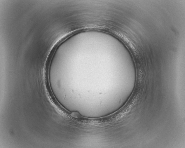 X0000115820991200912041624