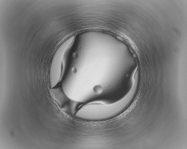 X0000115820993200912041624