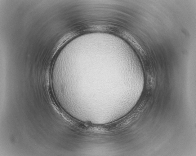 X0000115820994200912041624