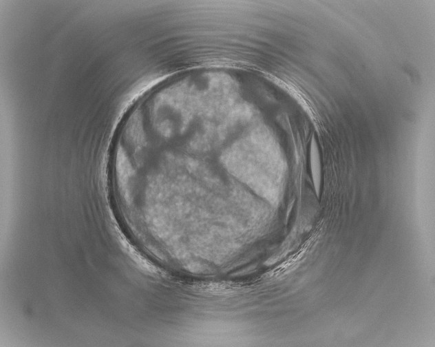 X0000115820995200912041624