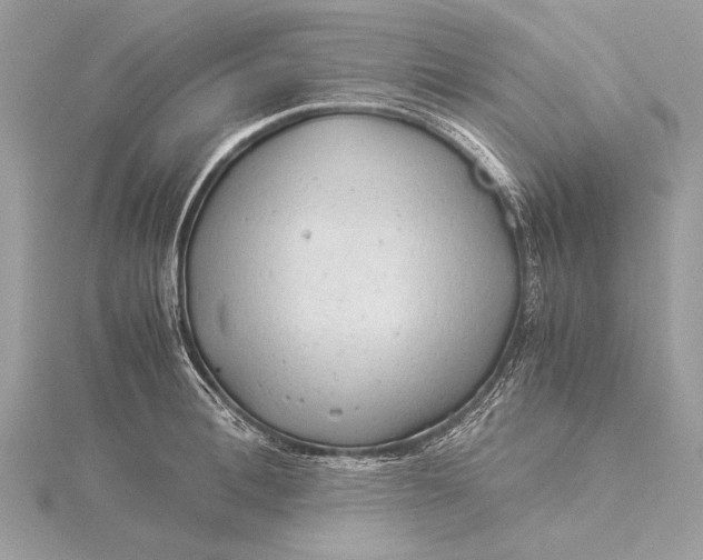 X0000115820996200912041624