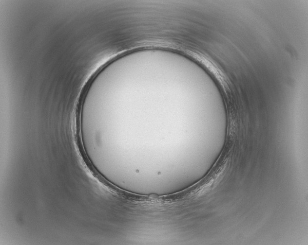 X0000115820999200912041623