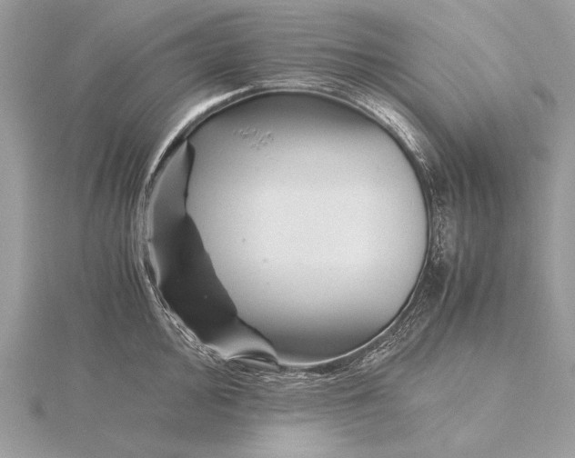 X0000115821000200912041623